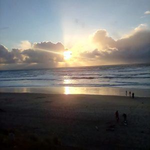 Meet your Posher, Ellen